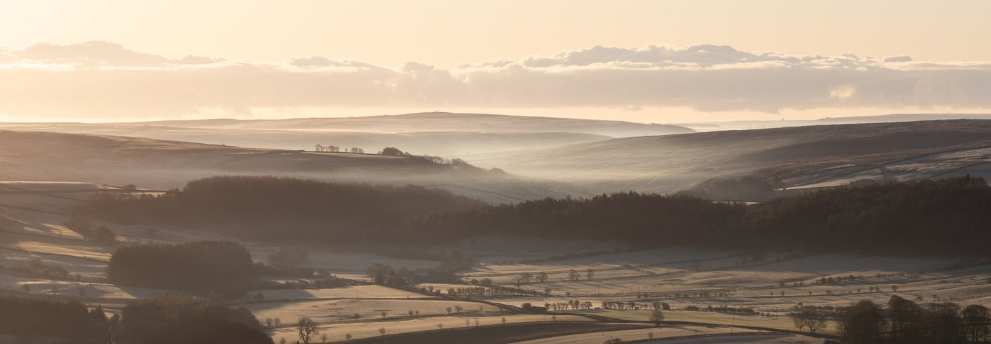 Golden Frosty Kildale